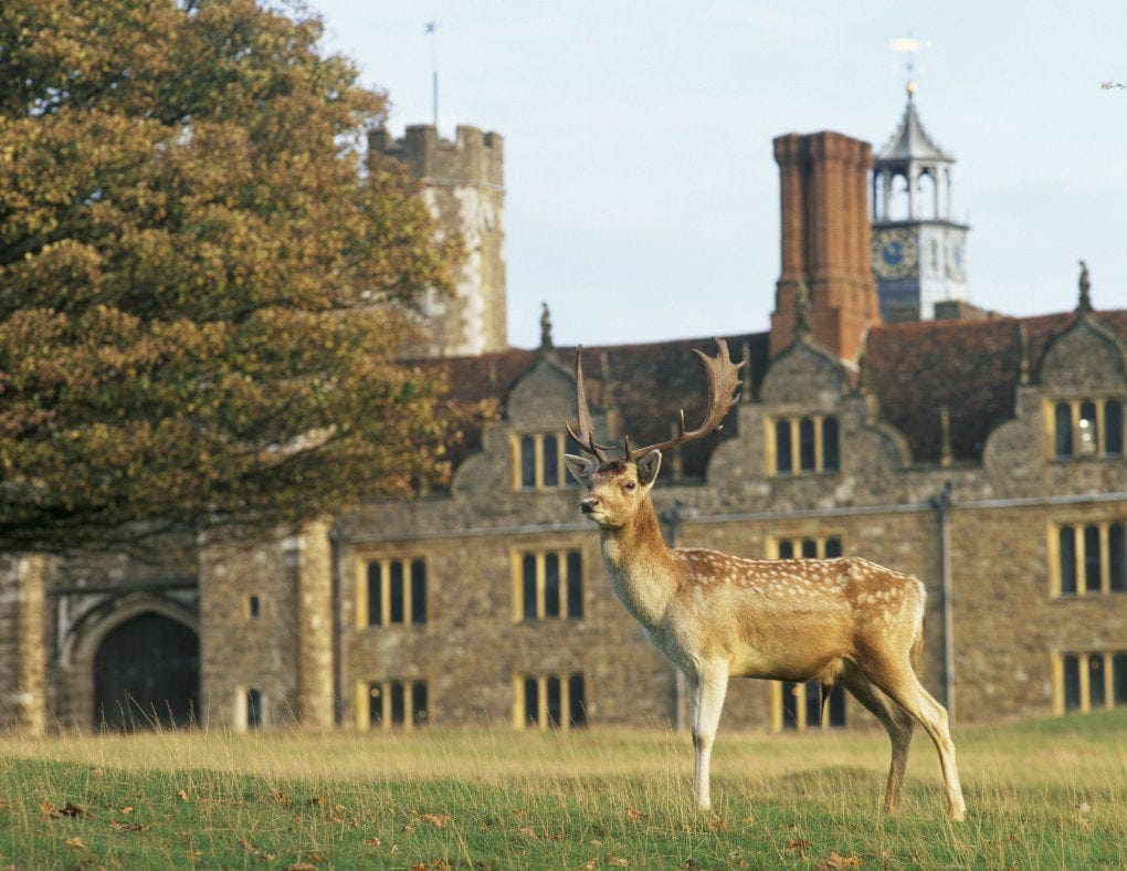 Knole Park