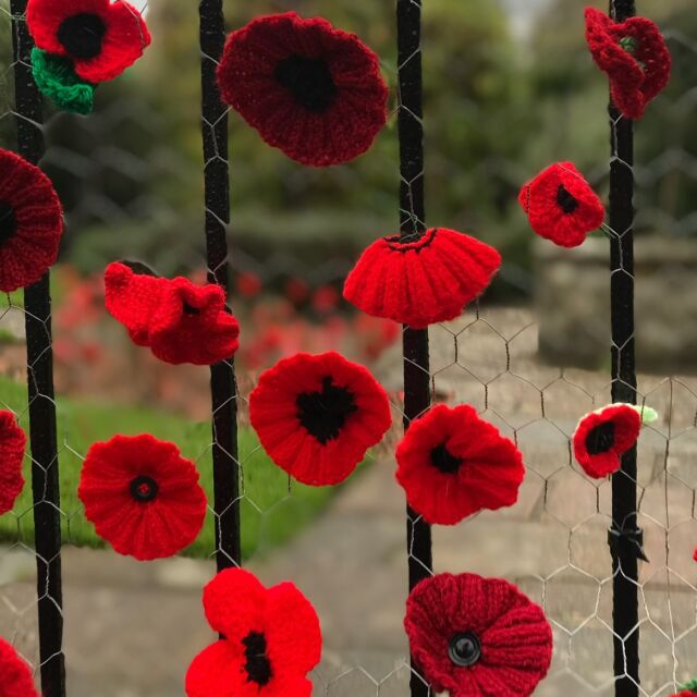 “They shall not grow old, as we that are left grow old: 
Age shall not weary them, nor the years condemn.
At the going down of the sun and in the morning 
We will remember them.” 
•
“For the fallen” by Robert Laurence Binyon 1869-1914
.
.
.
.
.
.
#lestweforget #armisticeday #poppies #wewillrememberthem